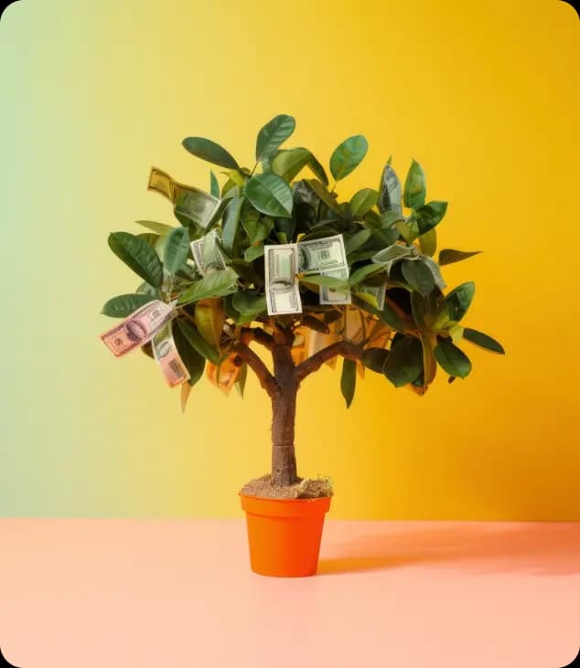 Maximize ROI